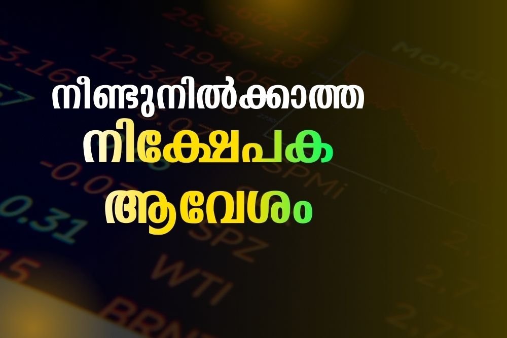 നീണ്ടുനിൽക്കാത്ത നിക്ഷേപക ആവേശം